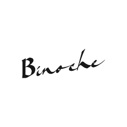 Logo Binoche